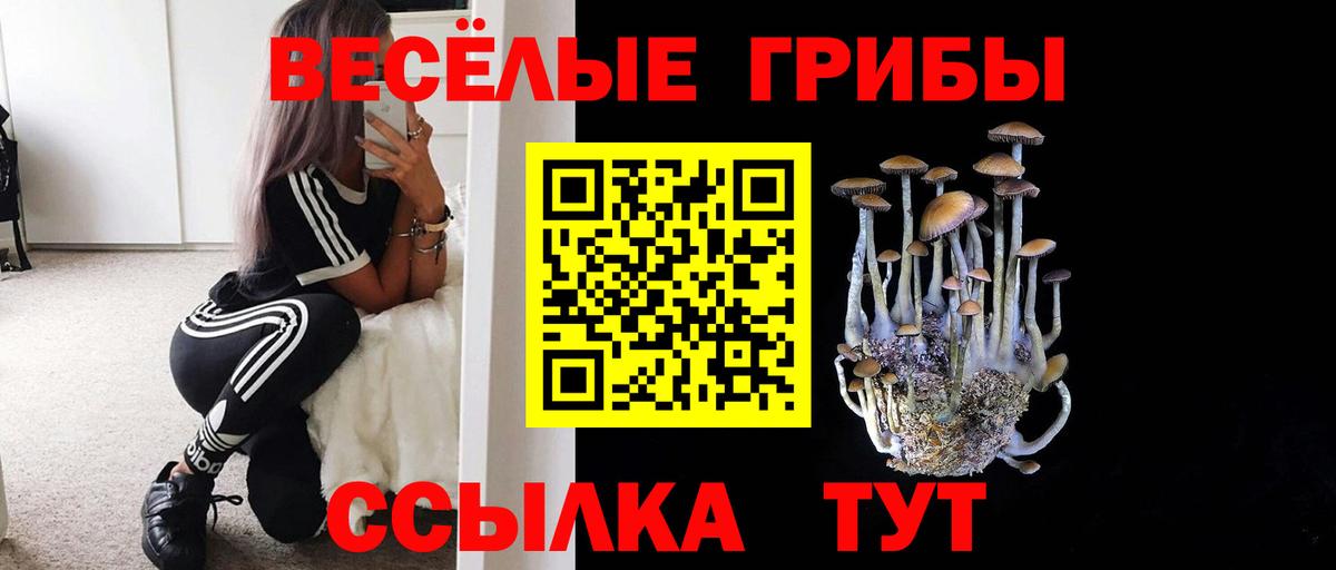 Псилоцибиновые грибы Cubensis  Галлюциногенные грибы мухоморы  как найти   Бердск  Вход с VPN 
