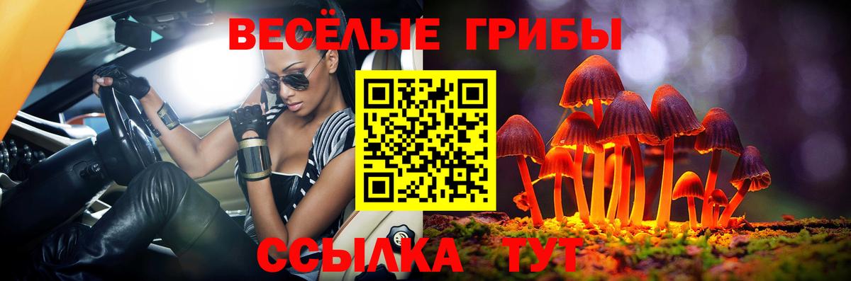 Псилоцибиновые грибы мицелий Бердск