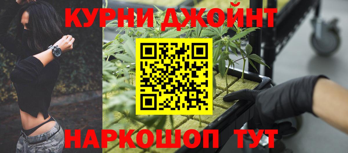 Бошки марихуана семена  Марихуана THC 21%  Бердск  Бошки марихуана White Widow  Вход с VPN 